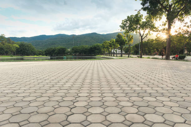 Best Custom Driveway Pavers  in Arnold, MO
